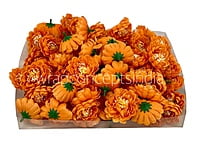 Marmalade Small Dahlias