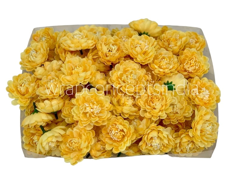 Banana Small Dahlias