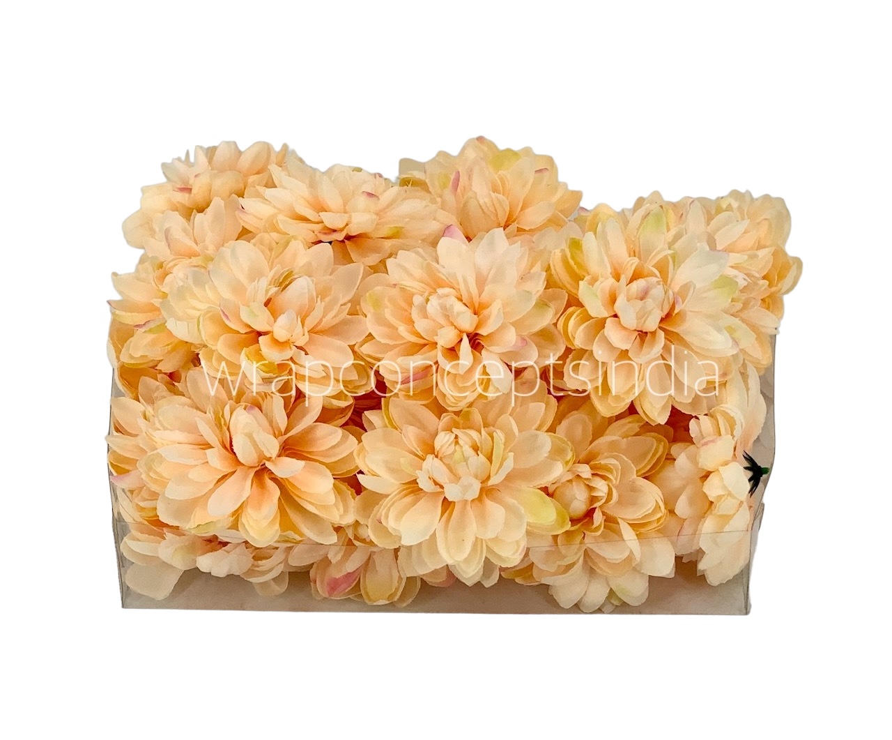 Peach Dahlias