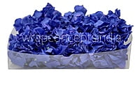 Moroccan Blue Hydrangeas