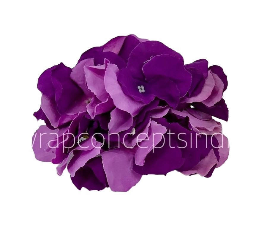 Hydrangeas - Shaded Purple