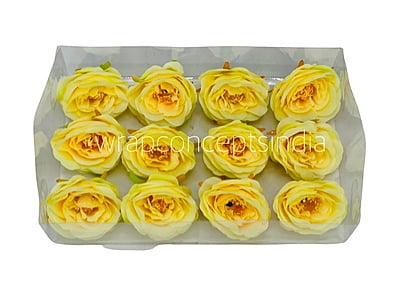 Camellia Flower - Canary Camellia Flower - Canary