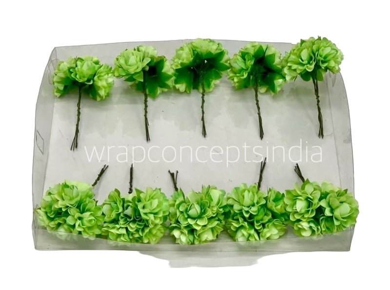 Lime Aubrieta Flower