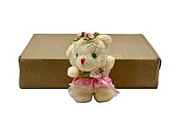 Small Teddy With Dress & Bow - Multicolour
