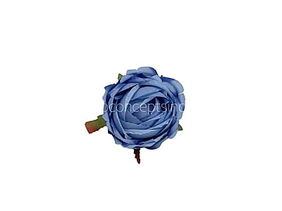 Cornflower Blue Peony