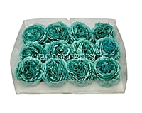Teal Ornate Peony