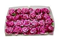 Rose With Leaves - Purplish Pink
