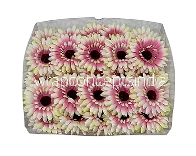 Cream with hints of Pink & Lemon Sunflower