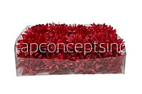 Amaranth Dahlia Flower