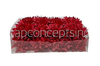 Amaranth Dahlia Flower