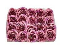 Candy Floss Small Ornate Peonies