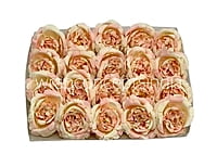 Peach Small Ornate Peonies