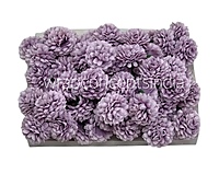 Small Carnation - Lavender