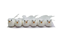 Glittery Birds with Feather Tails (Multicolour)-White
