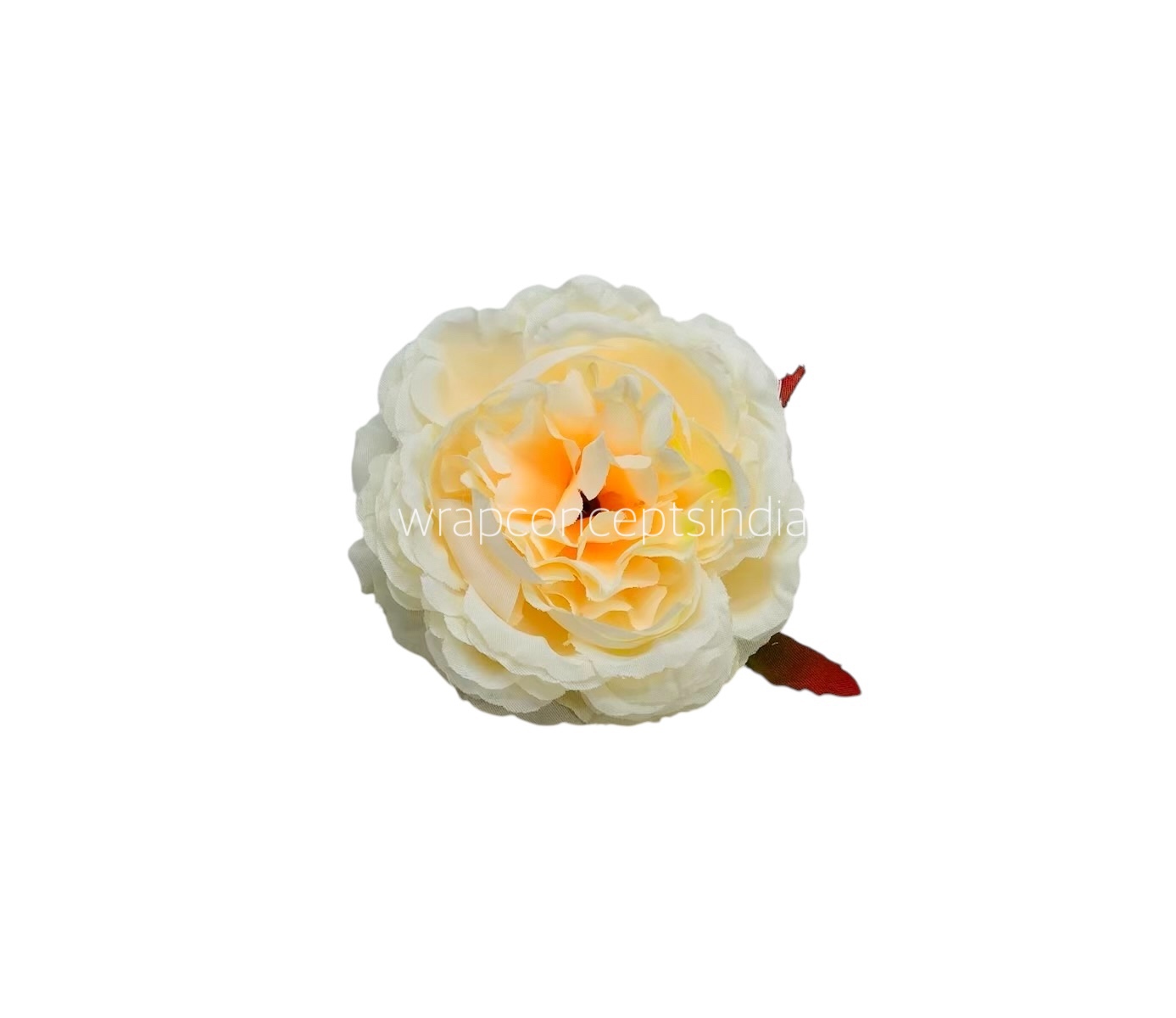 Ornate Peony-Champagne
