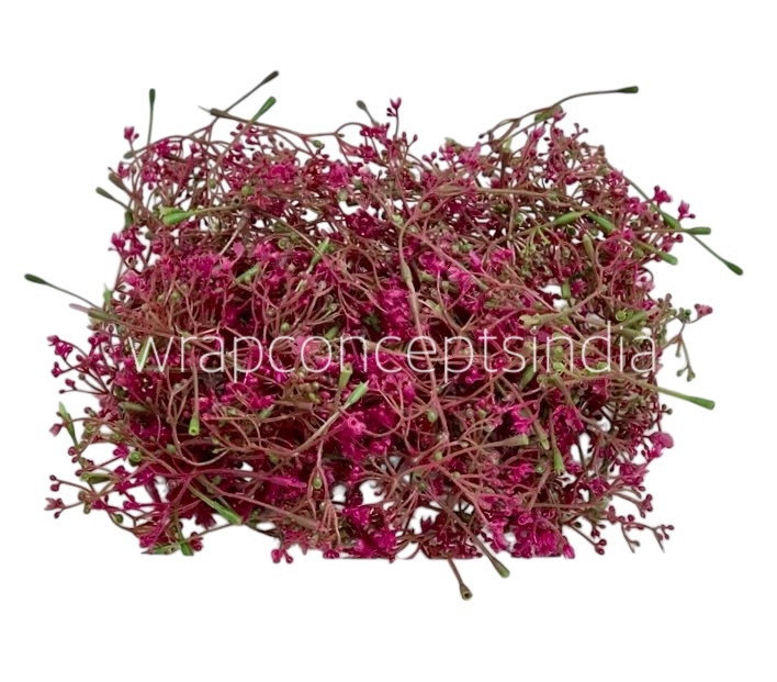 Magenta Floret Leaves