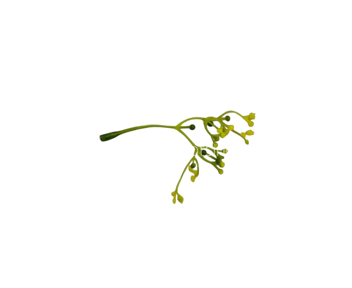 Yellow Floret Leaves