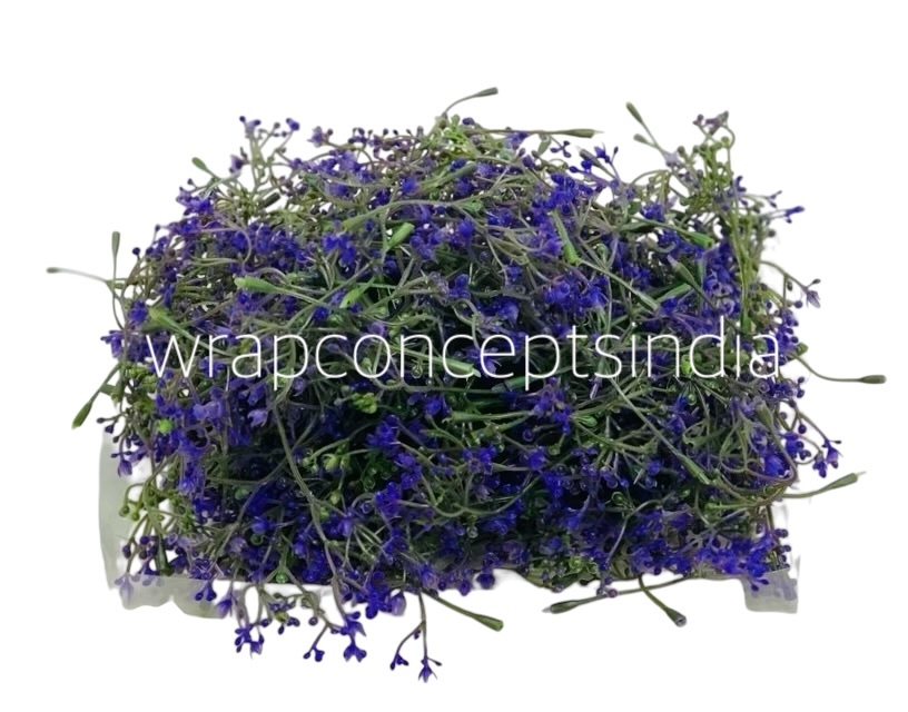 Purple Floret Leaves