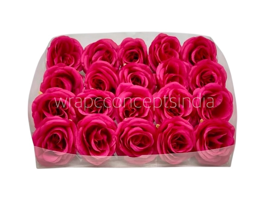 Fuchsia Roses