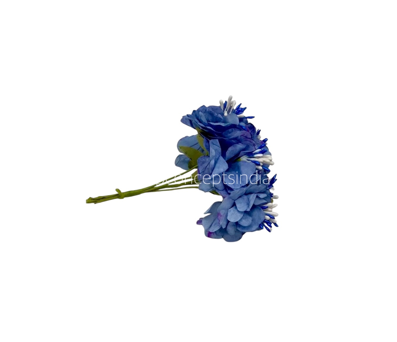 Cornflower Blue Windflower