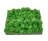 Green Foam Carnation