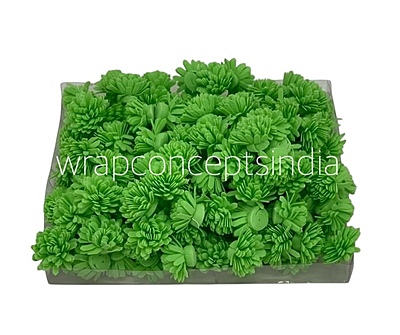 Green Foam Carnation