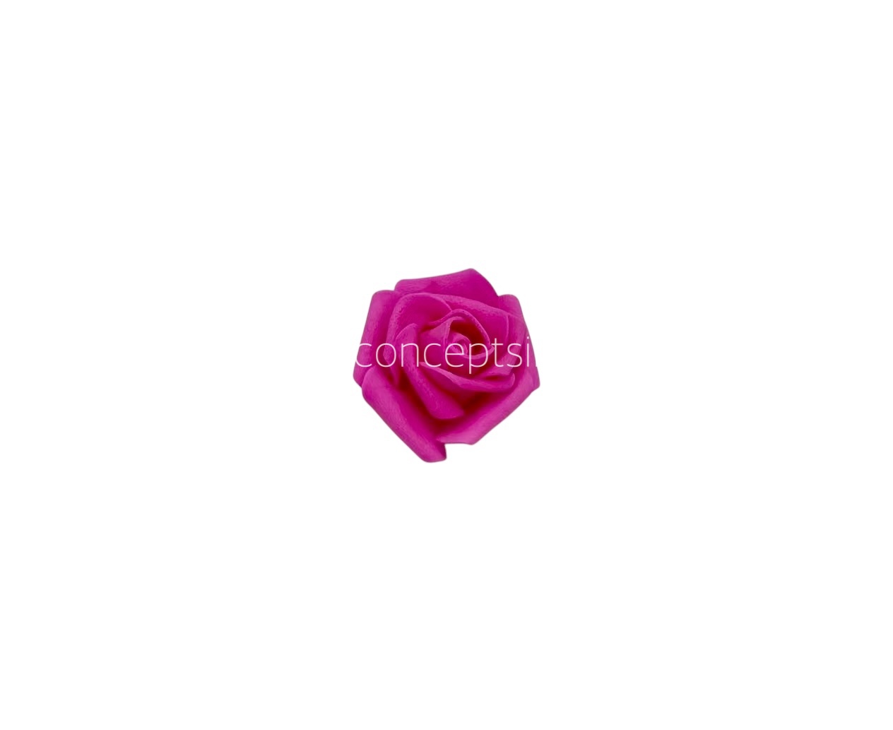 Fuchsia Medium Foam Rose