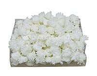 White Foam Carnation