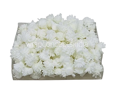 White Foam Carnation