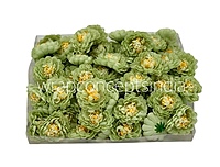 Pistachio Small Dahlia