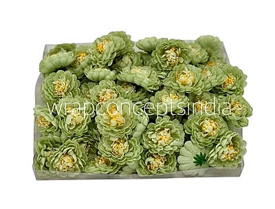 Pistachio Small Dahlia