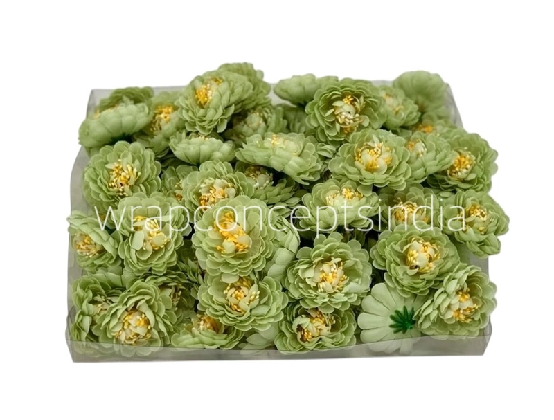 Pistachio Small Dahlia
