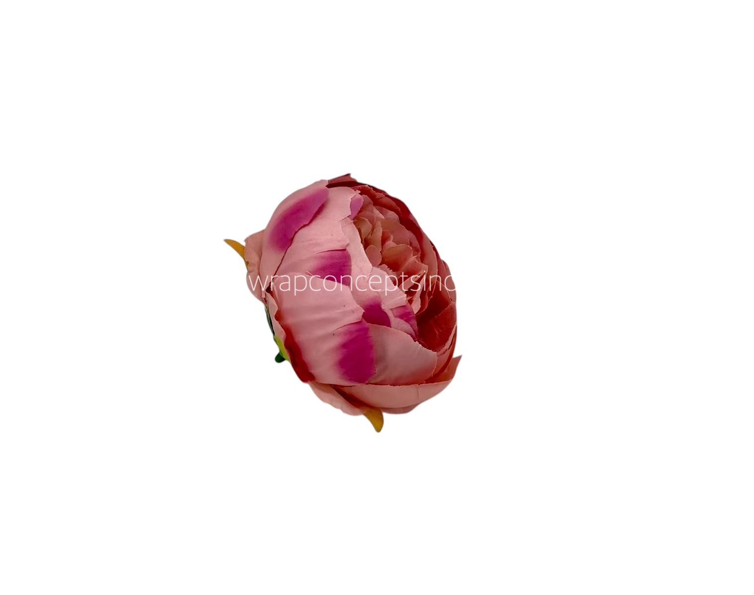 Peony - Flamingo