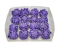 Amethyst Sola Wood Lillian