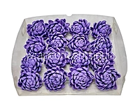 Amethyst Sola Wood Lillian
