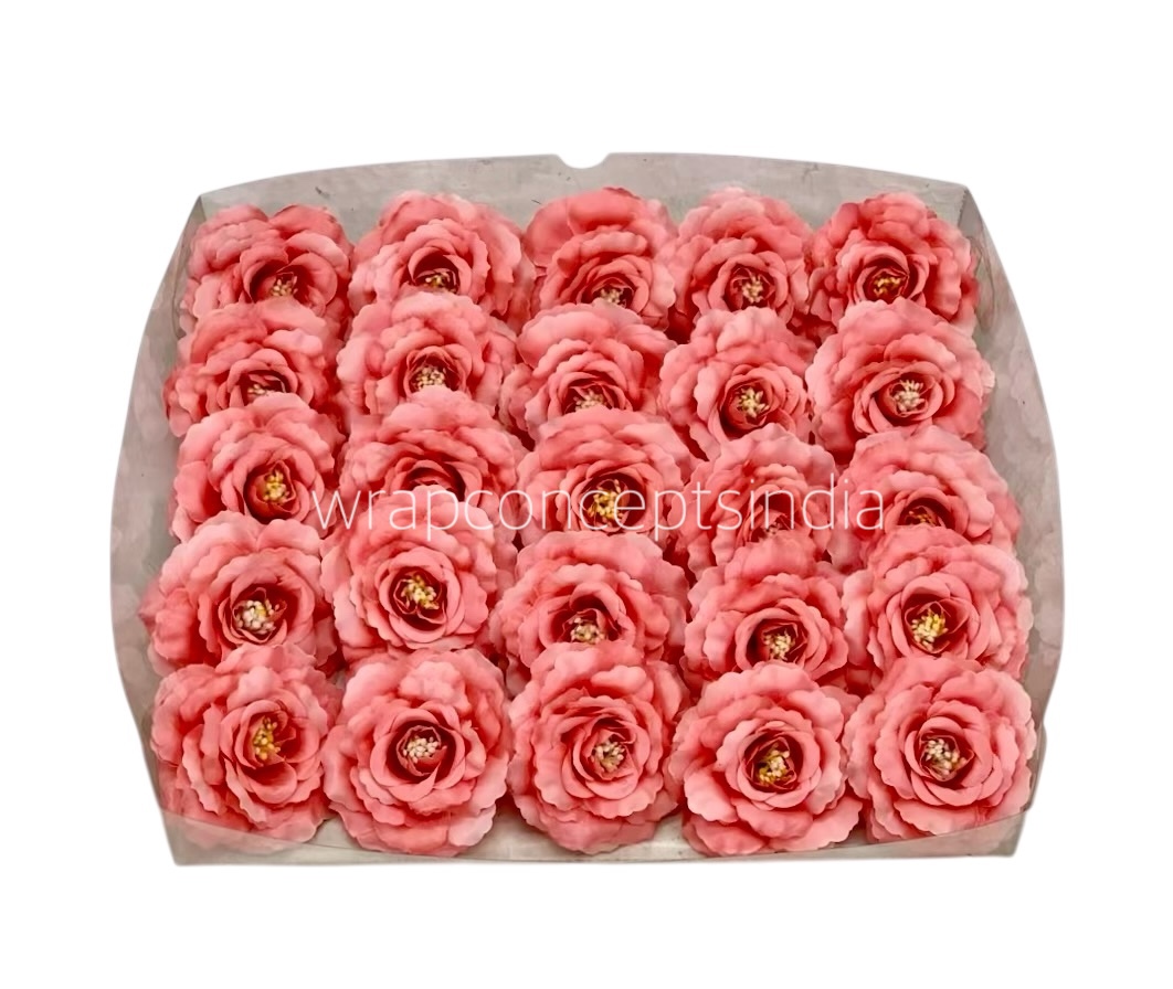 Peach Burst Open Rose