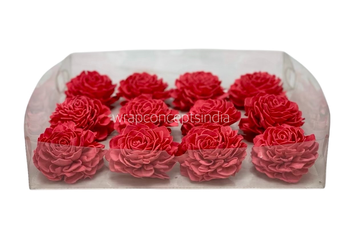 Coral Sola Wood Dahlia