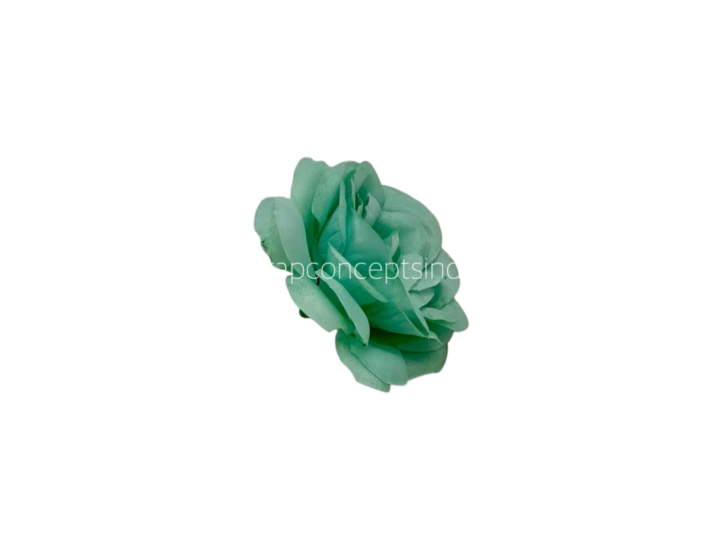 Mint Shrub Rose