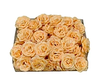 Uncounted Accessories-Lollipop Accessories-white