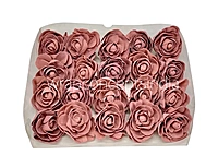 Blush Sola Wood Dear Holly