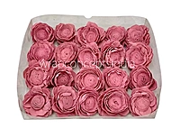 Pink Sola Wood Lotus