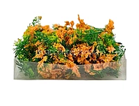 Green Fern Leaves with Orange Edges