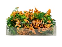 Green Fern Leaves with Orange Edges