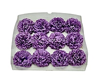 Dark Puple Green Carnation