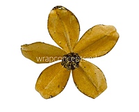 Velvet Flower with Gitter Pine Center-Tangerine