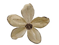 Velvet Flower with Gitter Pine Center-Tangerine