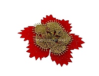 Red Texture Flower With Gold Pollen