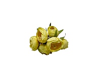 Peonies on stick-Yellow