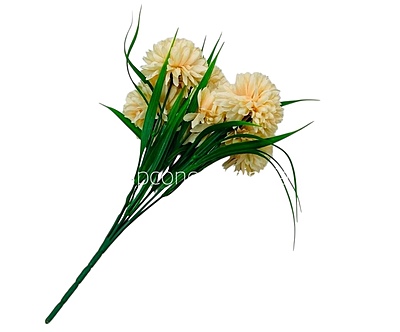 Carnation Bunch - Mullticolour