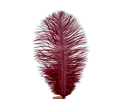 Faux Feather Rounded Edges